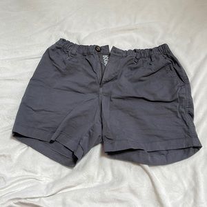 5.5 inseam chubbies shorts